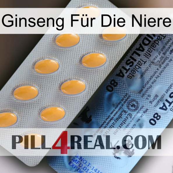 Ginseng Für Die Niere 44